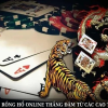 5 Mẹo Chọn Casino Trực Tuyến Dành Cho Người Mới Bắt Đầu