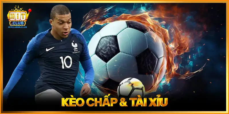 Tài Xỉu 1 Trái – Bí Quyết Chơi Hiệu Quả Và Kinh Nghiệm Thắng Lớn