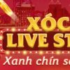 5 Bí Quyết Chọn Nhà Cái Trực Tuyến Dành Cho Người Mới Bắt Đầu