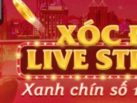 5 Bí Quyết Chọn Nhà Cái Trực Tuyến Dành Cho Người Mới Bắt Đầu