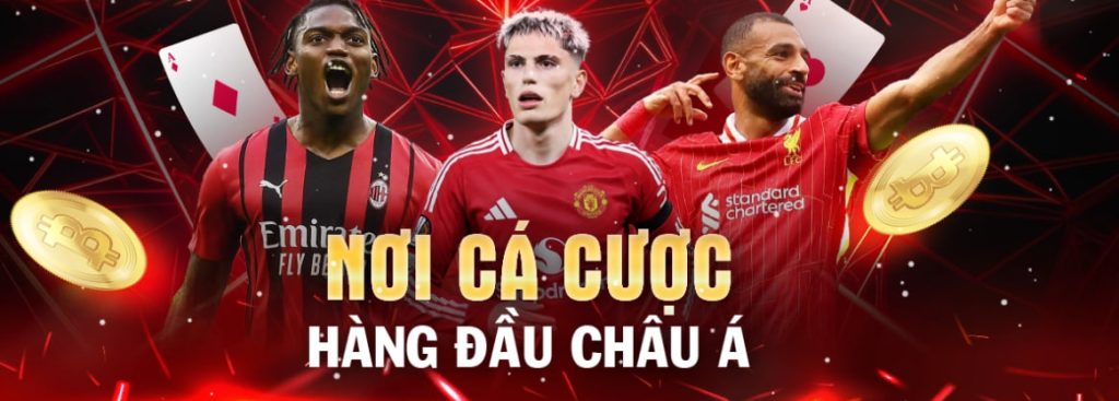 DAFABET – Nhà Cái Uy Tín Hàng Đầu Với Đa Dạng Trò Chơi Và Khuyến Mãi Hấp Dẫn