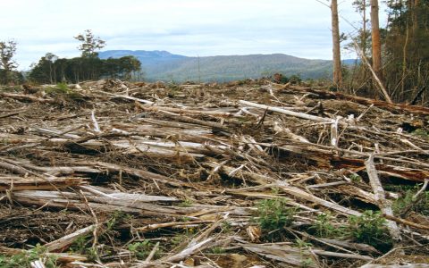 Tasmania vs Queensland which is cheaper? Compare costs and save money!