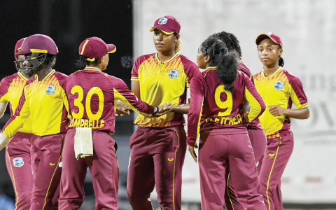 Duan Jansen Stats Meaning What Makes His Cricket Numbers Special