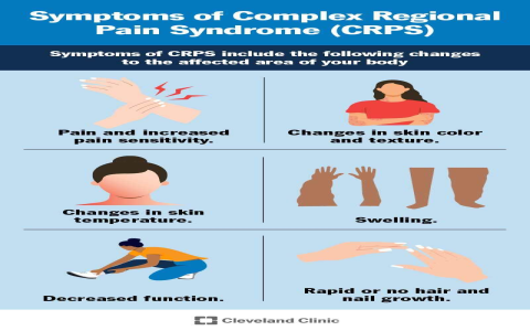 How Do I Use Kannada X Story Simple Steps Explained Clearly Now