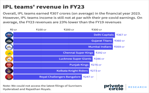 Indian cricket coach salary factors that affect BCCI pay