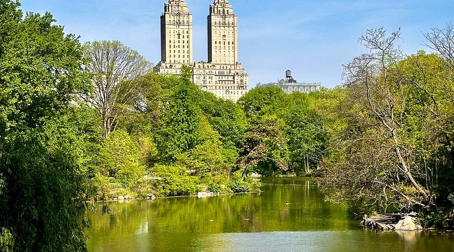Nitesh Central Park Where It Located Find Its Prime NYC Spot Now
