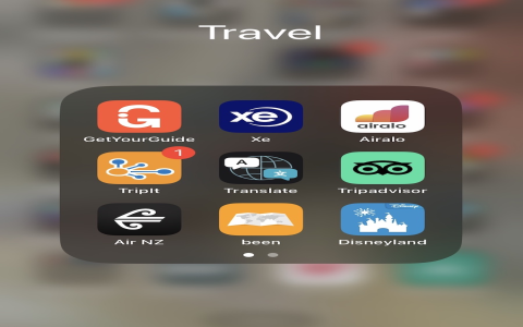 Wellington vs Otago: Whats the difference? (Simple comparison guide for travelers)