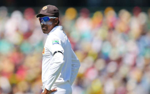 Who has the most catches in test cricket? Top players revealed now!