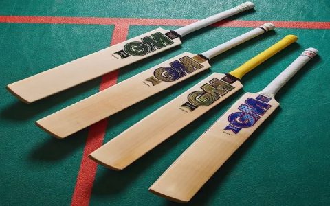 Ton cricket bat how to buy simple guide for best choices online