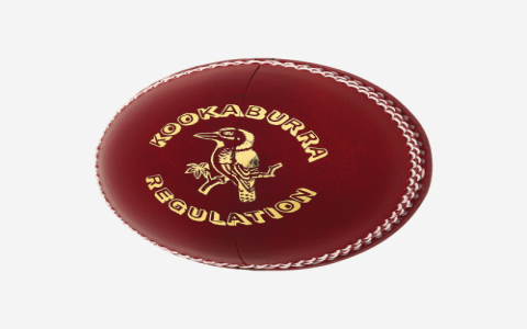 Ipl ball price changes see how much official ipl cricket balls cost