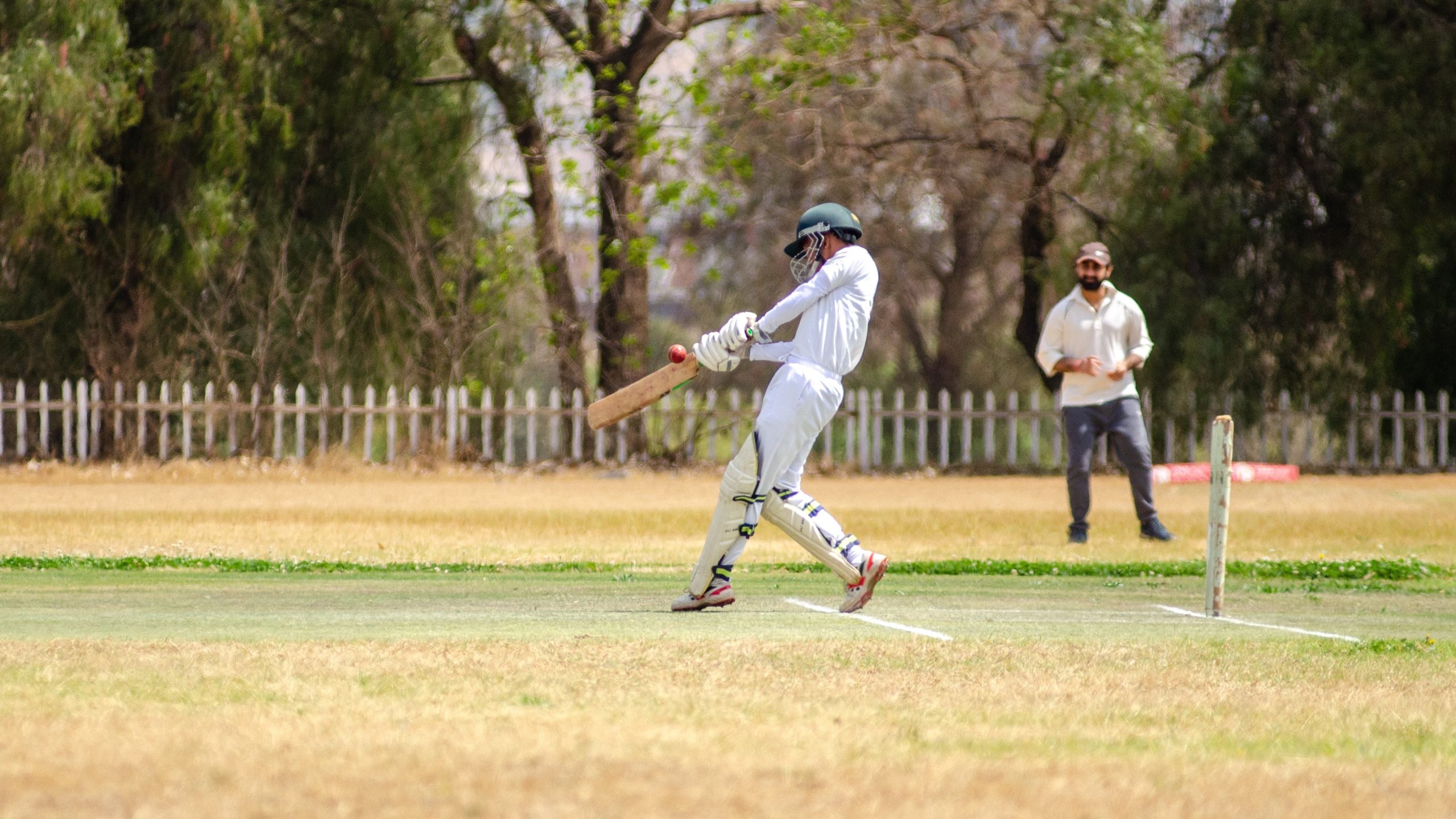 Ton cricket bat how to buy simple guide for best choices online