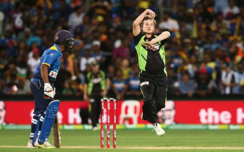 T20 win guide brabourne pitch report for batting or bowling teams success
