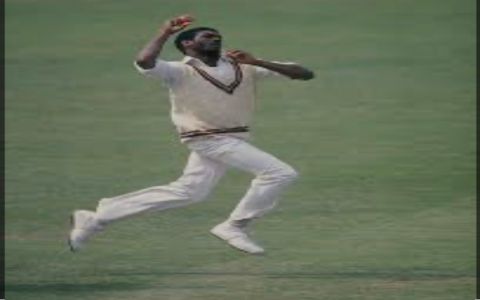how to choose batting or bowling focus on ekana lucknow pitch simple guide for players to enhance skills