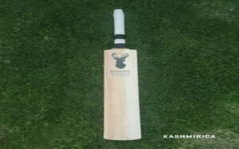 Virat kohli bat specs exposed actual kg weight cricket gear details